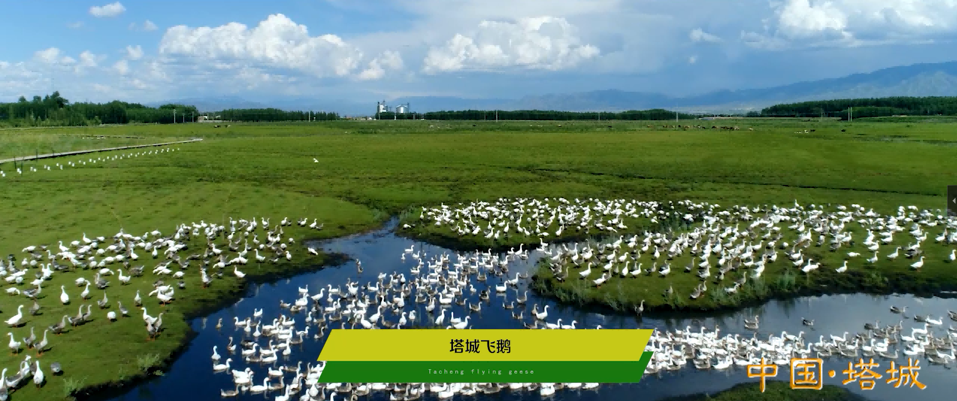 &#20247;&#24425;&#23448;&#32593;&#45;&#40;&#20013;&#22269;&#41;&#32929;&#20221;&#26377;&#38480;&#20844;&#21496;